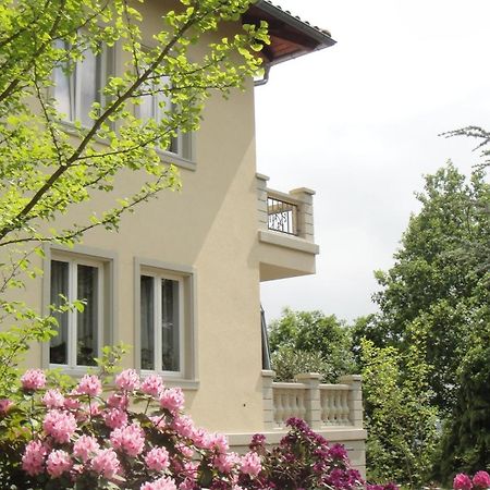 Ferienwohnung Dennstedt Wilkau-Hasslau 外观 照片