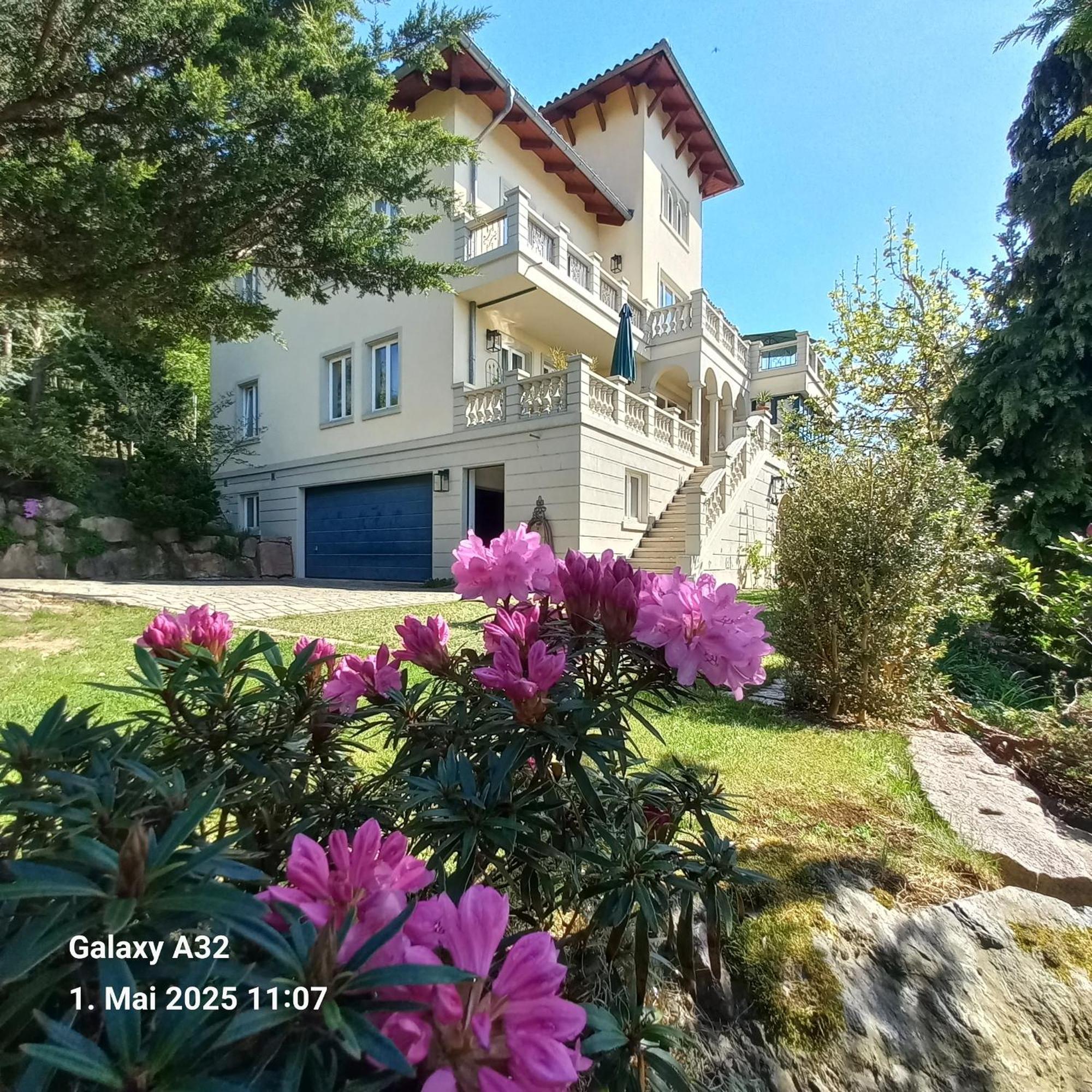 Ferienwohnung Dennstedt Wilkau-Hasslau 外观 照片